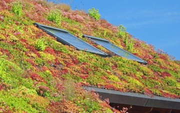 Hanging Langford living roof systems