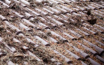 Hanging Langford roof cleaning companies