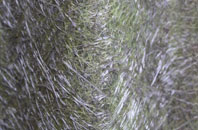 Hanging Langford fibreglass roof work